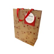 GB04M Friendly Reindeer Gift Bag Medium